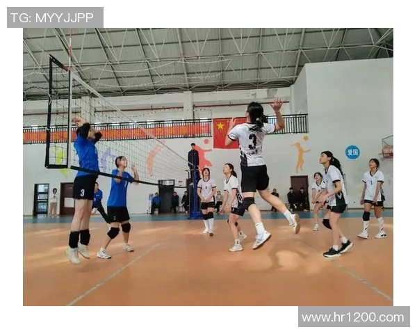 全国锦标赛回顾:杭州排球队展现卓越团队协作精神与竞技风采 全国锦标赛回顾:杭州排球队展现卓越团队协作精神与竞技风采